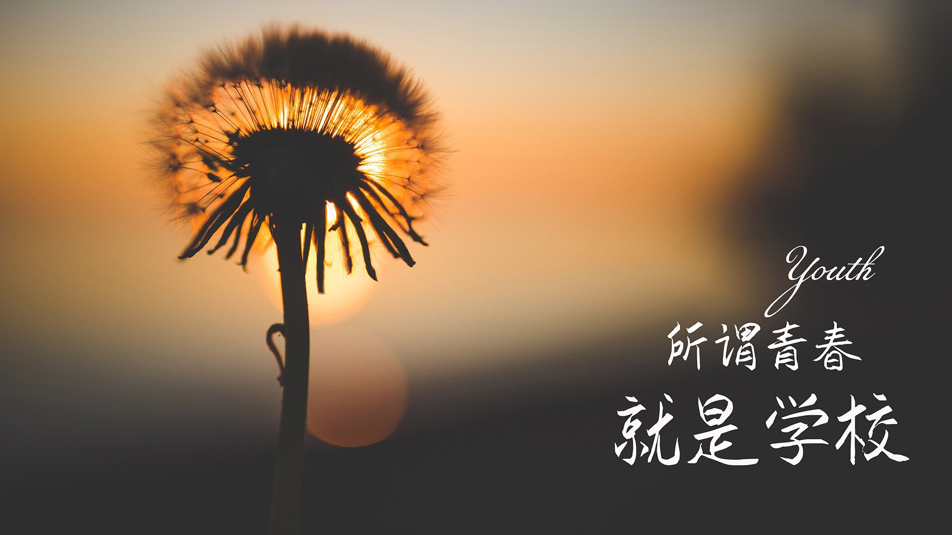 英格兰马术队在巴黎奥运会盛装舞步比赛中取得优异成绩，获得第五名。