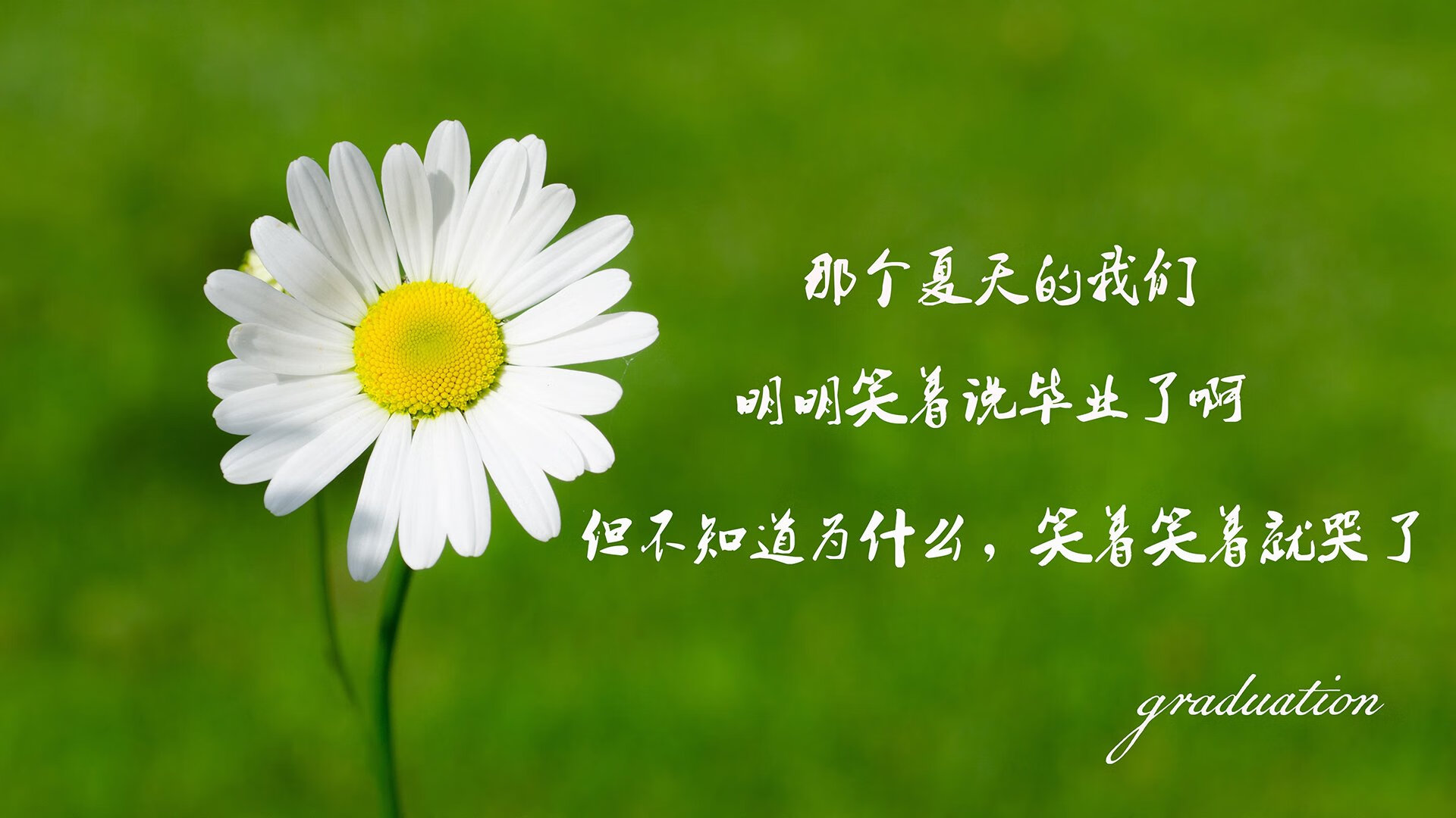 RNG季后赛席位稳固，rng季后赛形势分析