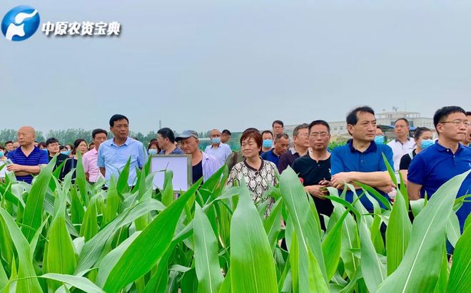 关于全国青少年“农业+体育”融合节在郑州成功举办，推动区域体育发展的信息