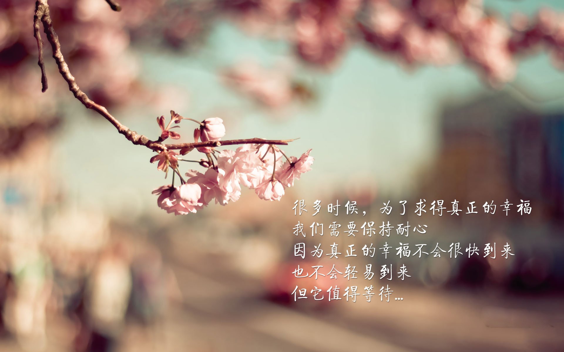 弗拉门戈核心球员表现出色，弗拉门戈视频