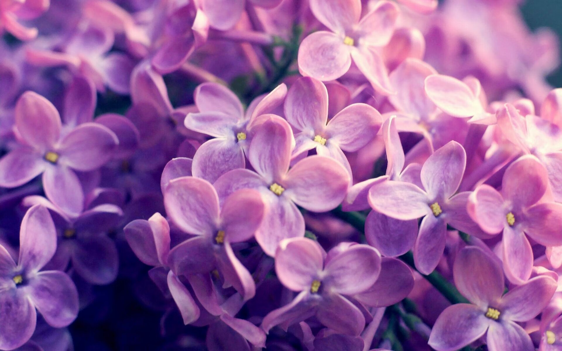 法甲青训营引入情绪调节策略减少比赛失误率,法甲青训排名