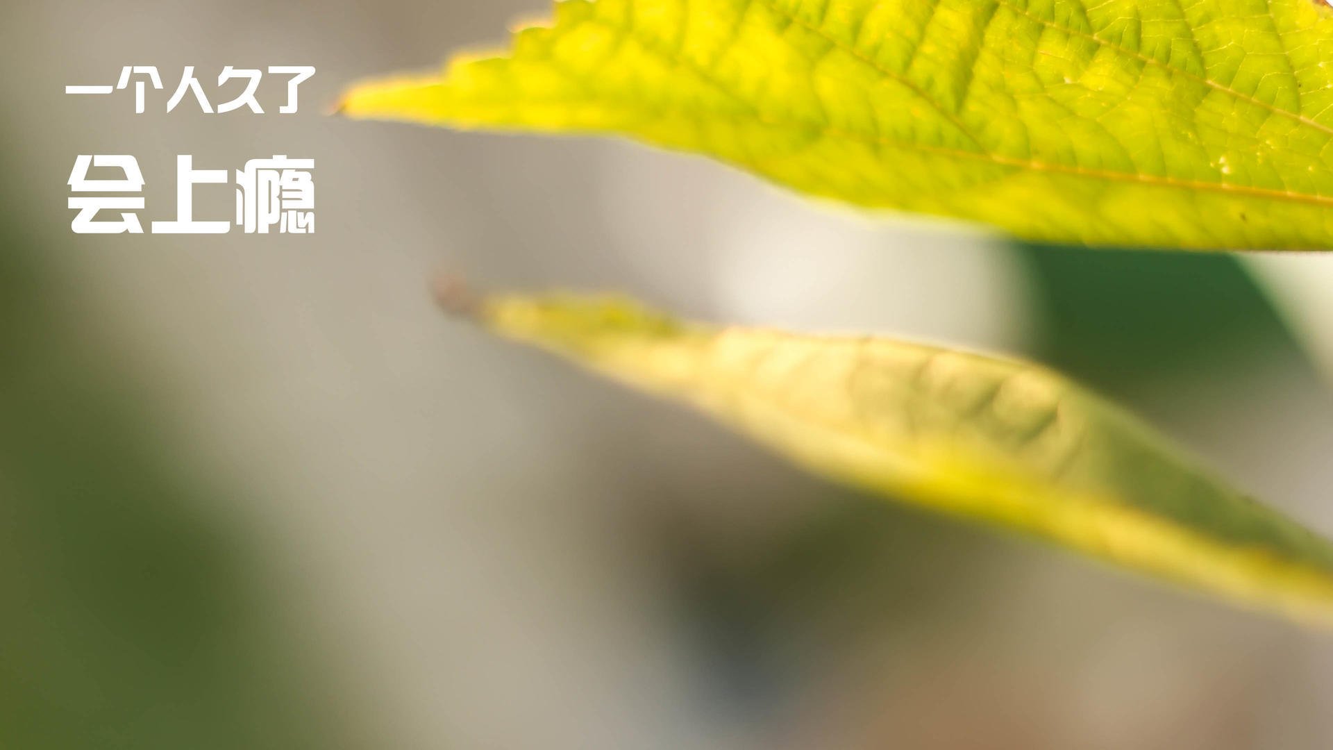 西甲疯狂反击：速度和技巧的极致表现，西甲模式