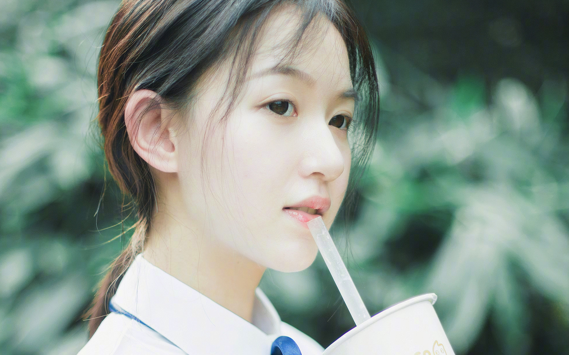 亚冠联赛关键战役牵动球迷心弦,亚冠联赛战况