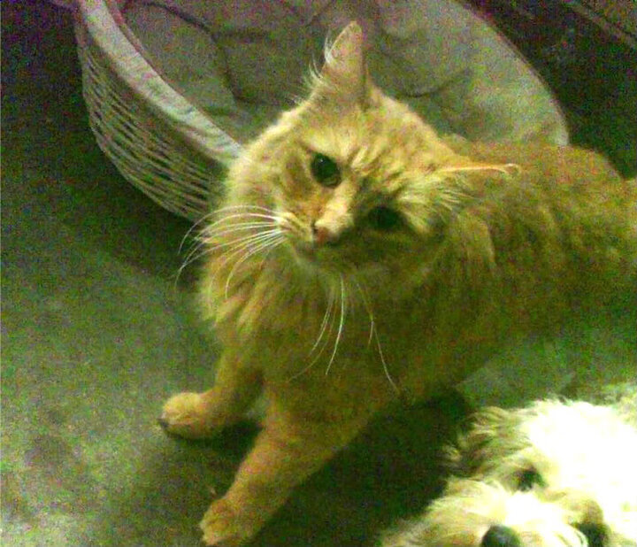 爱游戏体育app-全运会筹备工作紧锣密鼓推进，备战全运会工作方案