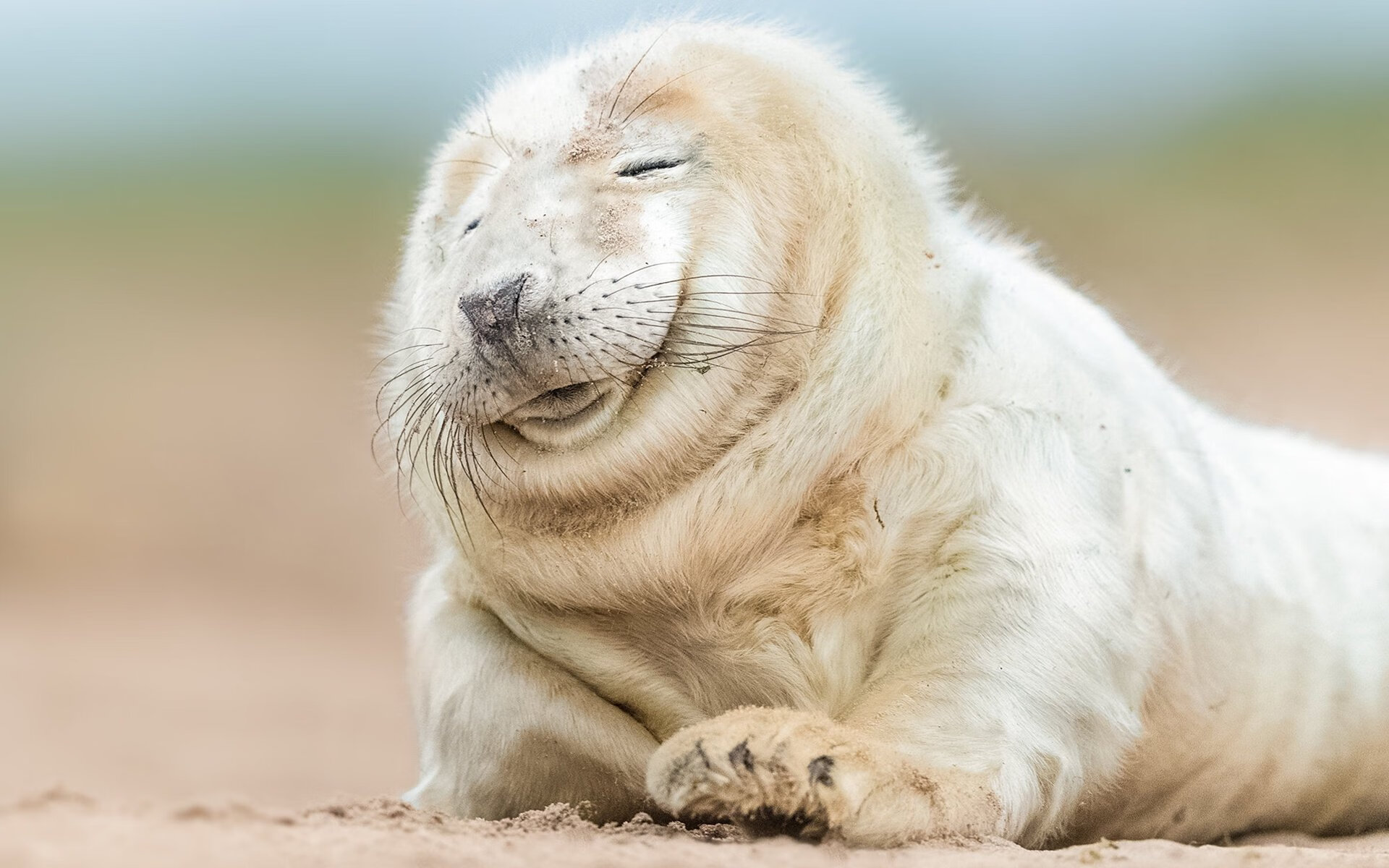 全运会筹备工作紧锣密鼓推进,备战全运会工作方案