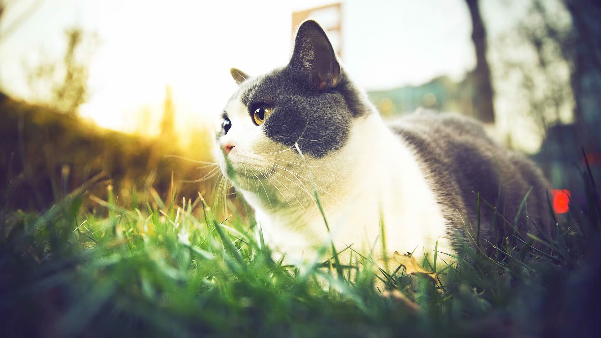 国家队比赛节奏控制能力为何落后，国家队比赛节奏控制能力为何落后呢