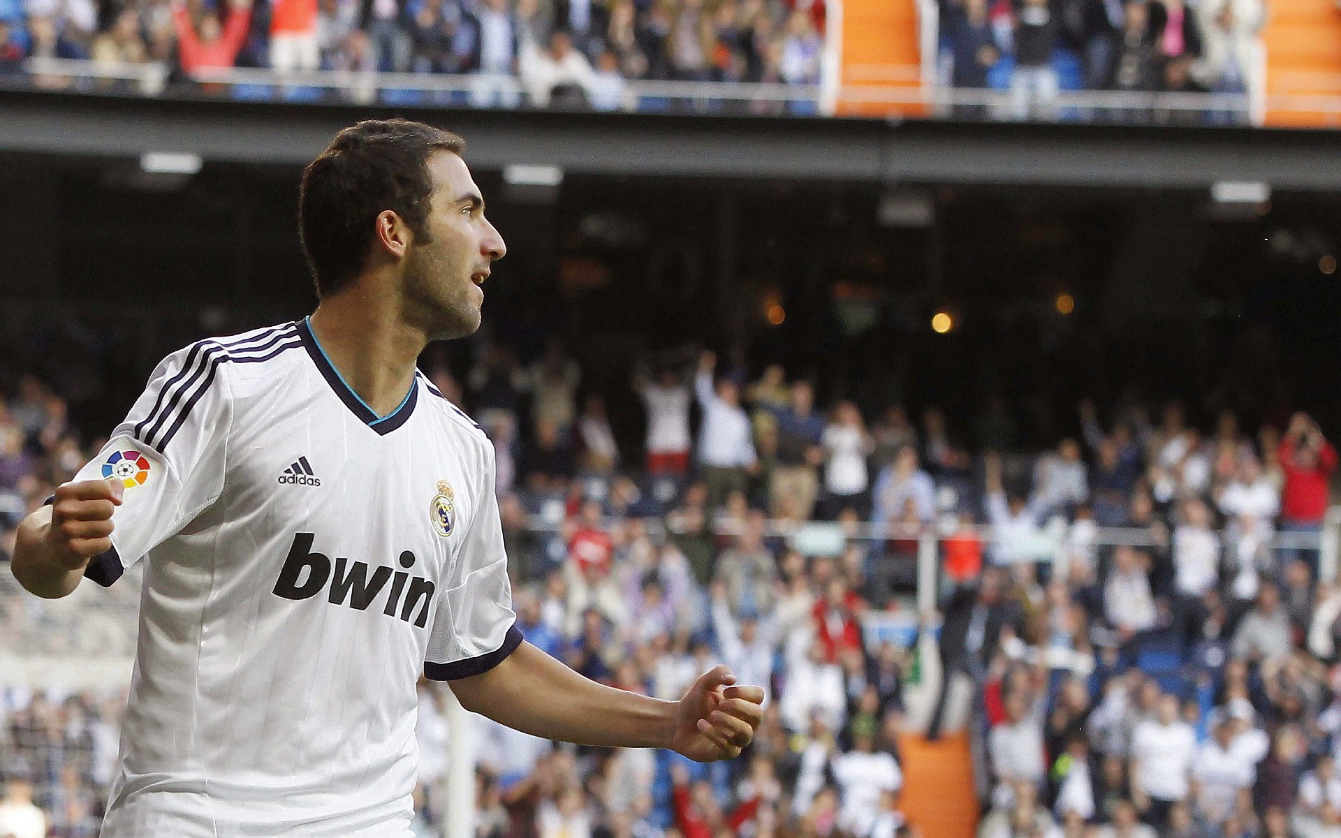 纪录保持者：那些打破或保持历史纪录的明星，纪录“纪录”