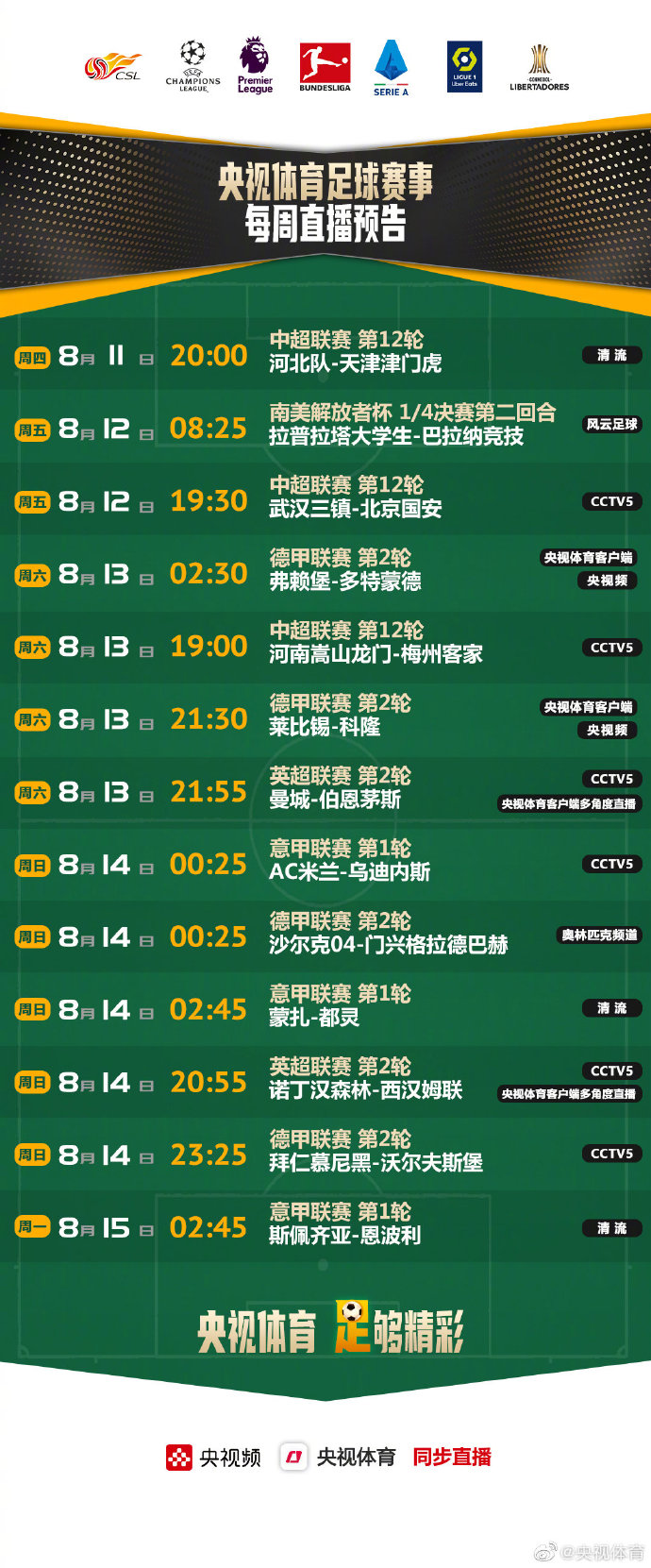 爱游戏体育:英超薪资结构的现状与未来：一场商业游戏的简单介绍
